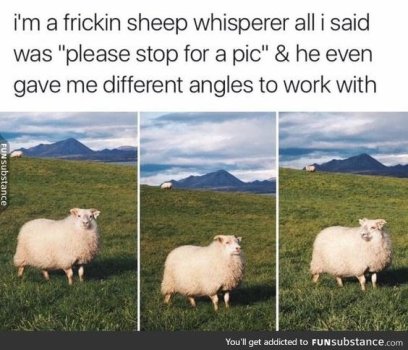 1742777032303.jpeg