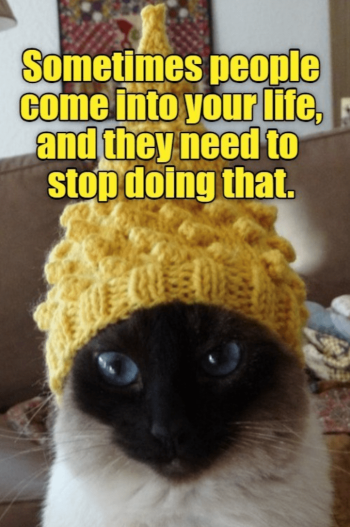1742777361665.png