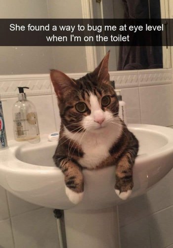 1742955209677.jpeg