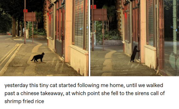 1742955954069.png