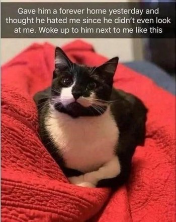 1742972511889.jpeg