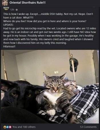 1742972735136.jpeg