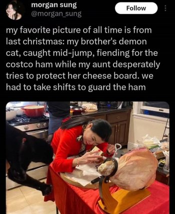 1742972859550.jpeg