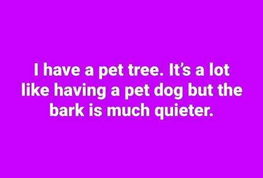 1743121148021.jpeg