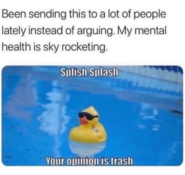 1743128249205.jpeg