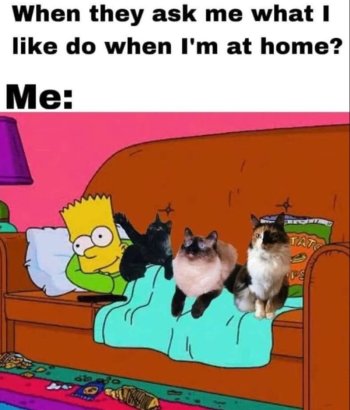 1743157754120.jpeg
