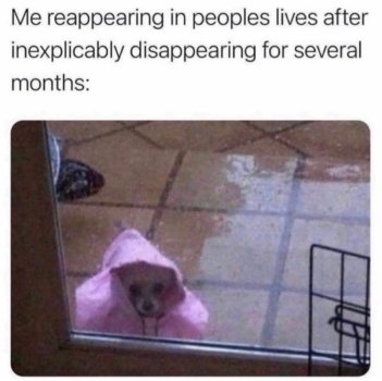 1743157922916.jpeg