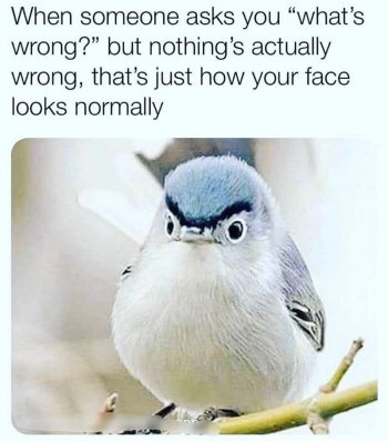 1743157956662.jpeg