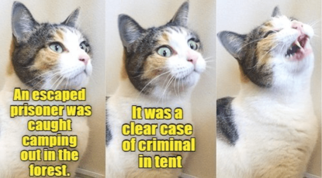 1743212977834.png