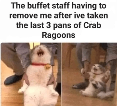 1743404224367.png