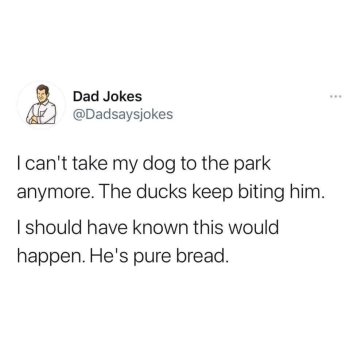 1743457677512.jpeg