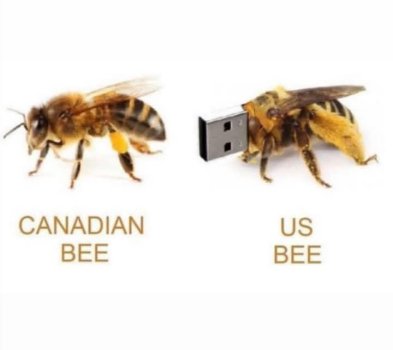 1743458825404.jpeg
