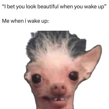 1743464845355.jpeg