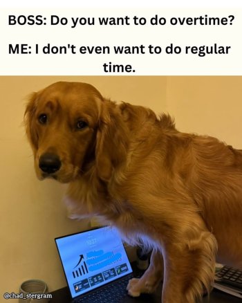 1743465327864.jpeg
