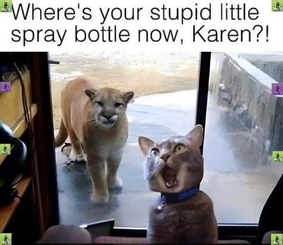 1743466884260.jpeg