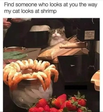 1743592713028.jpeg