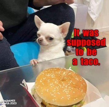 1743727376128.jpeg
