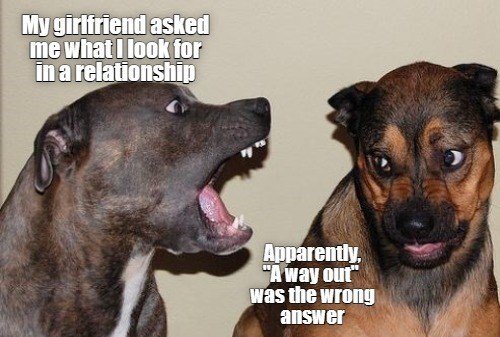 1743727961030.jpeg