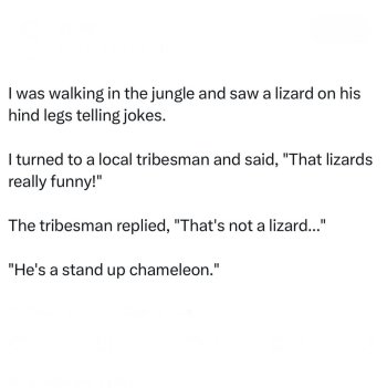 1743729194250.jpeg