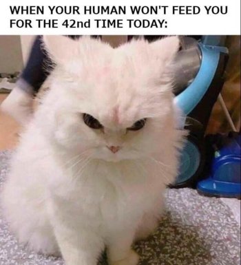 1743751975132.jpeg