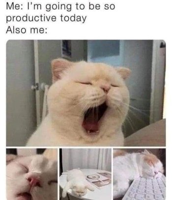 1743752049924.jpeg