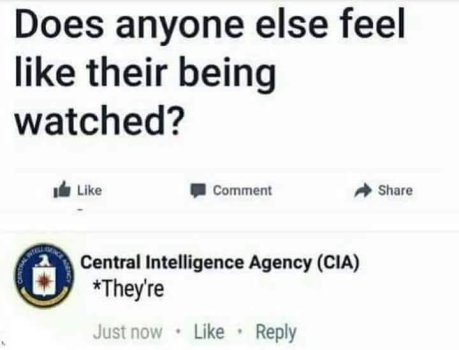 1743816791483.jpeg
