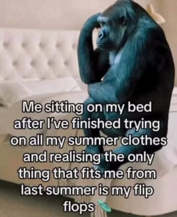 1743908421629.jpeg