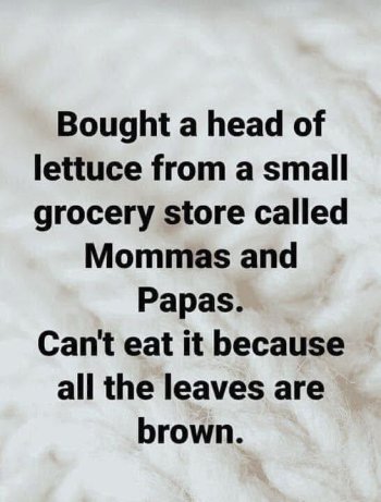 1743909880524.jpeg