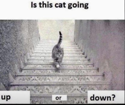 1743979437708.jpeg