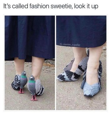 1743999303559.jpeg