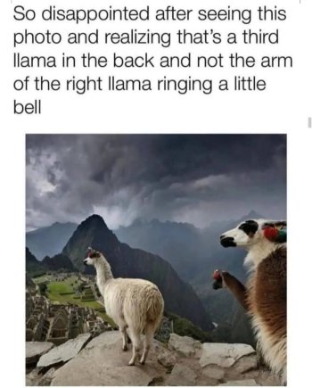 1744027223793.jpeg