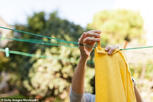 The Shirts On The Line!