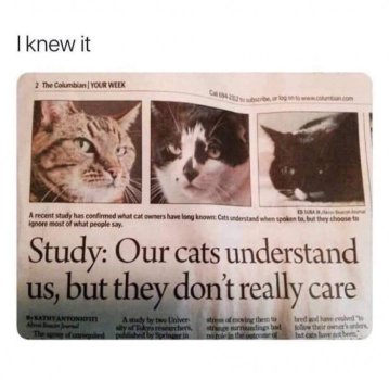 1744249856280.jpeg