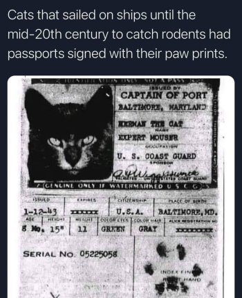1744250112608.jpeg