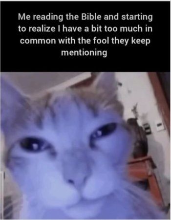 1744258313656.jpeg