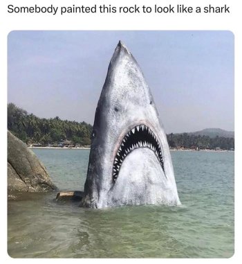 1744268470306.jpeg