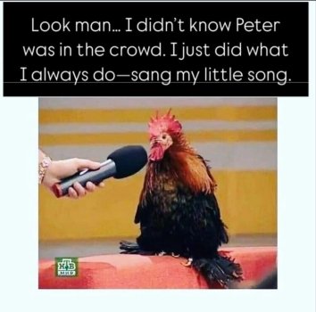 1744290815070.jpeg
