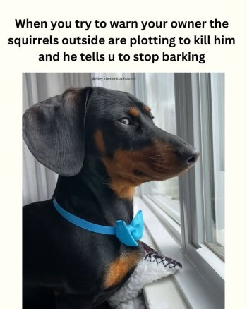 1744324887901.jpeg