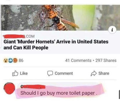 1744443560182.jpeg