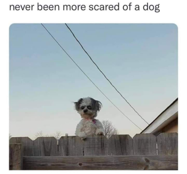 1744600255744.png