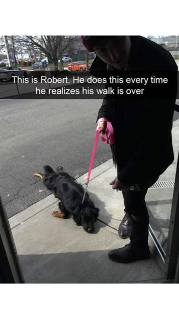 1744812050537.jpeg