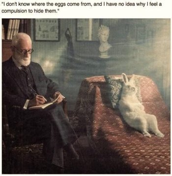 1745222511041.jpeg