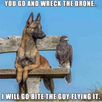 drone cb.jpg