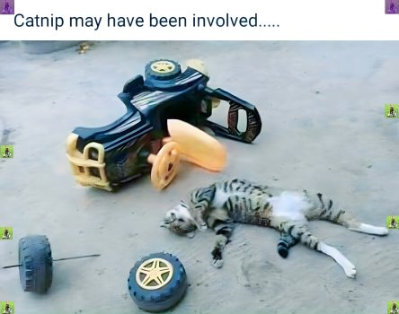 1745348715025.jpeg