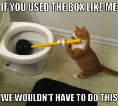 1745480115671.png