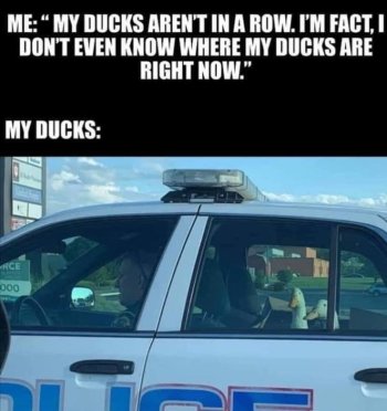 1745578307785.jpeg