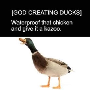 1745578426602.jpeg