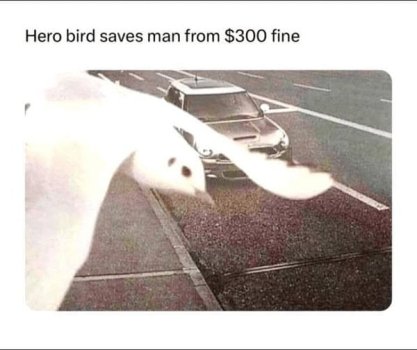 1745634715214.jpeg
