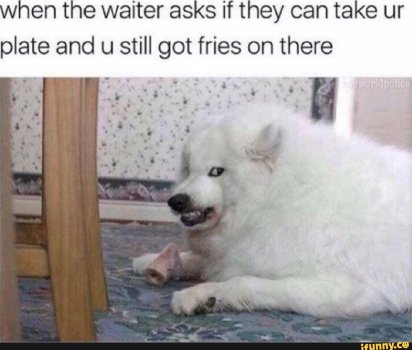 1745840951528.jpeg