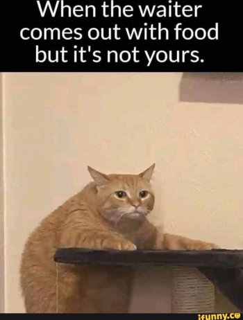 1745841472062.jpeg